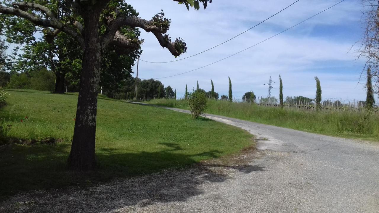 Gite Lieu Dit Gautier Civrac-de-Blaye Exterior foto